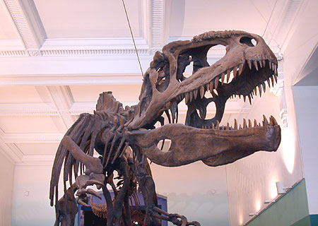 Dinosaurs: Ancient Fossils, New Discoveries exhibition