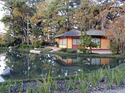 Japanese Garden in Houston, Texas
