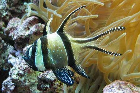 Seattle Aquarium