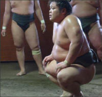 Sumo Wrestler