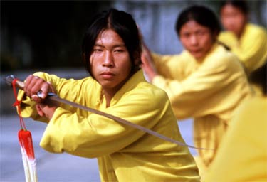 Chinese martial arts